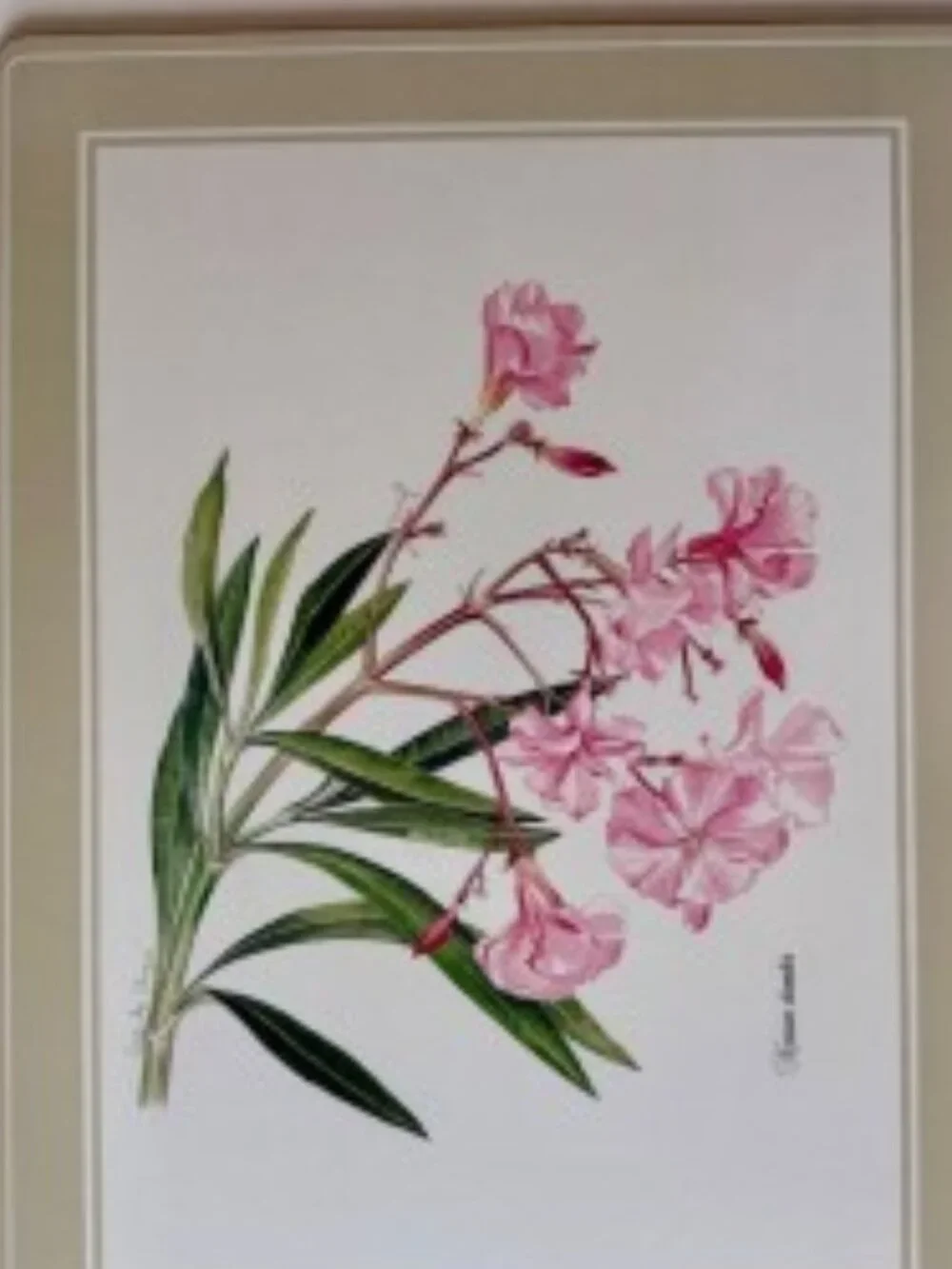 Lenox Set of 4 Cork-Backed Placements in Box - Picture 3 of 6